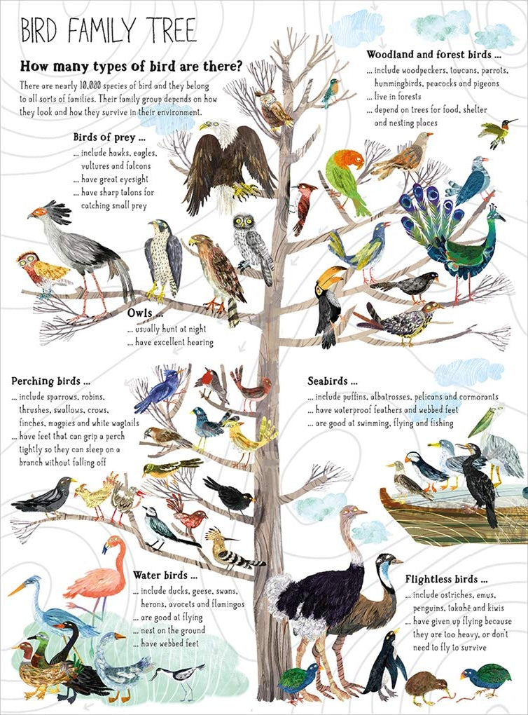 The Big Book of Birds