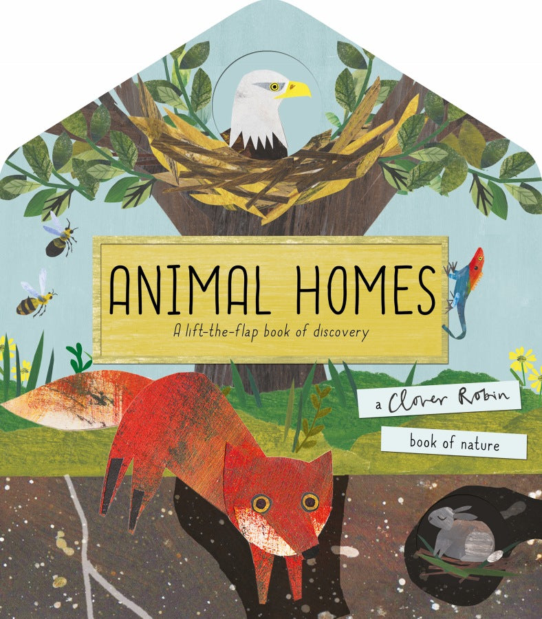 Animal Homes : A Lift-the-Flap Book of Discovery