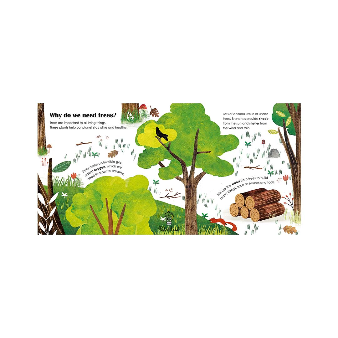 Trees: A Lift-the-Flap Eco Book