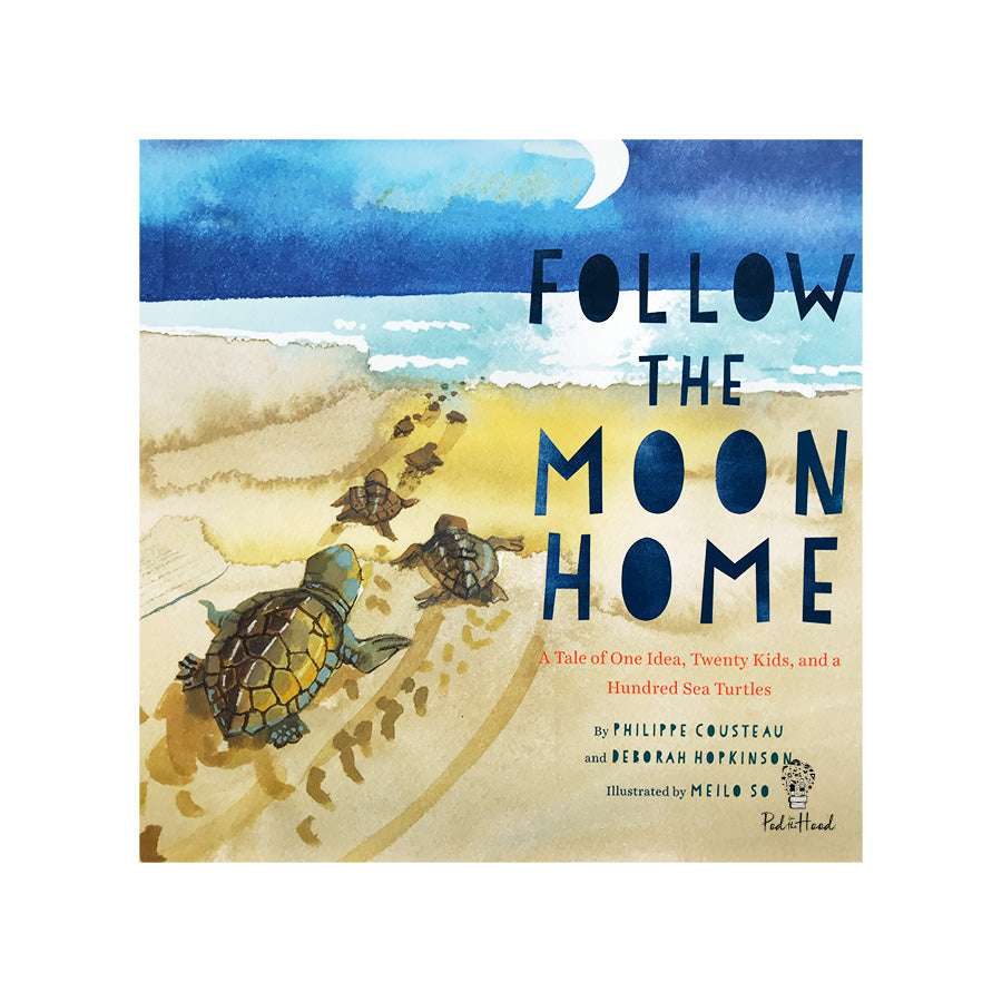 Follow the Moon Home : A Tale of One Idea, Twenty Kids and a Hundred Sea Turtles