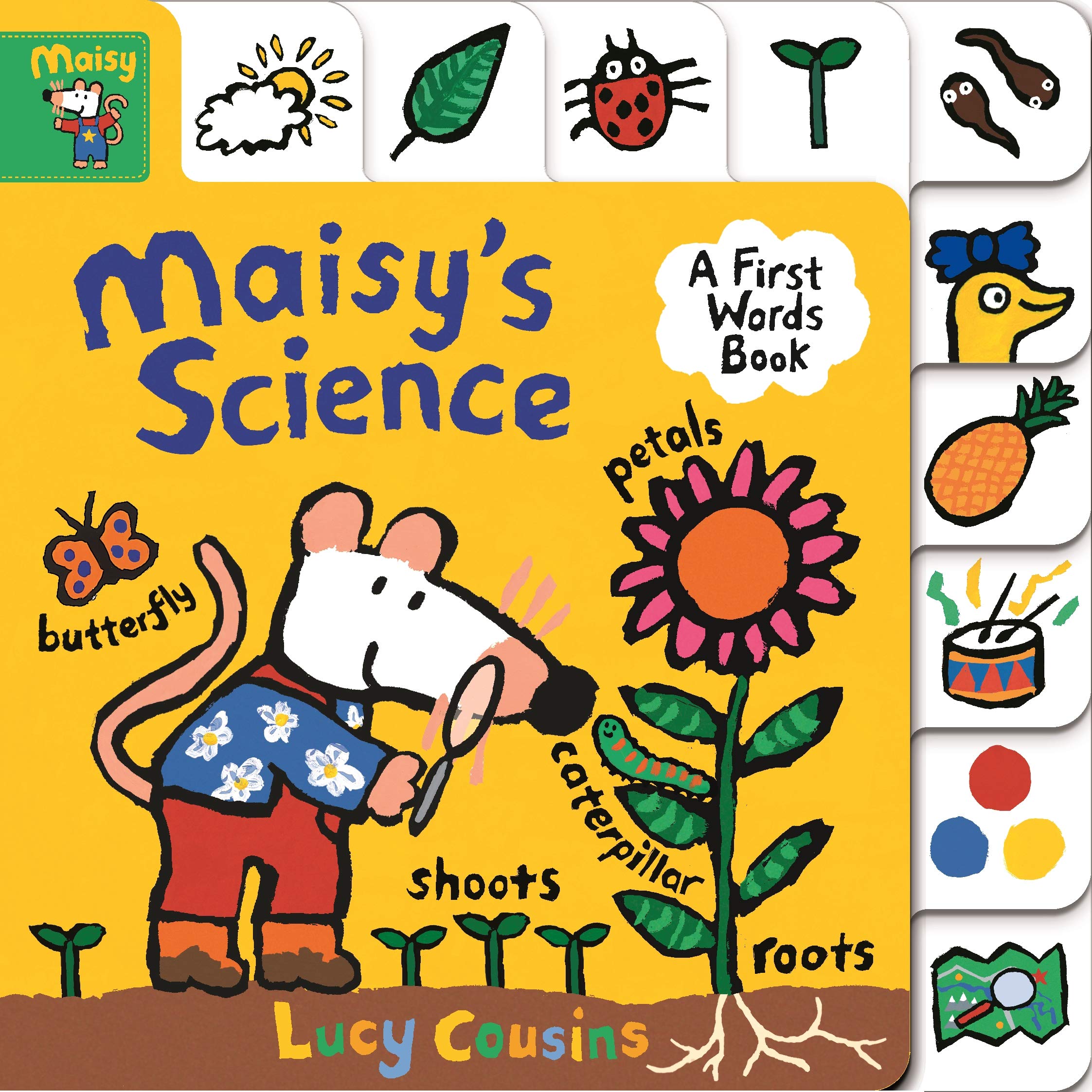 Maisy's Science : A First Words Book